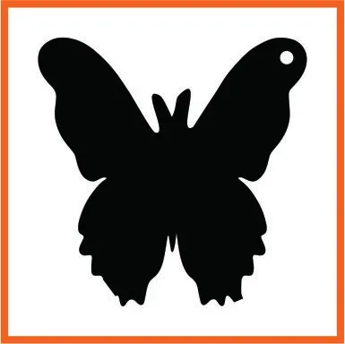 Butterfly 1